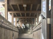 シトラさんの十津川温泉「庵の湯」の投稿写真2