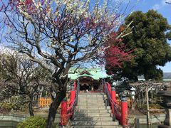 亀戸天神社の写真1