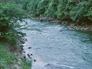 たかちゃんさんの鹿跳渓谷の投稿写真1