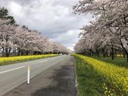 なべきちさんの八郎潟干拓地の投稿写真2