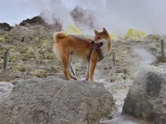 硫黄山の写真1