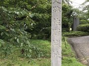 Shotaさんの城山公園(栃木県佐野市)の投稿写真1
