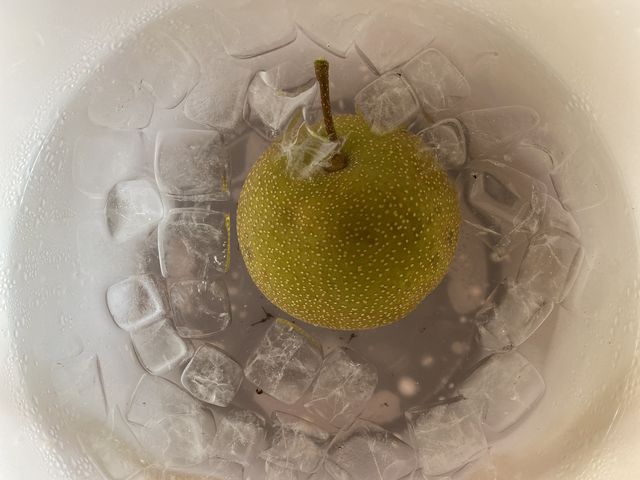 氷で冷やしていただきました_よこせ梨園