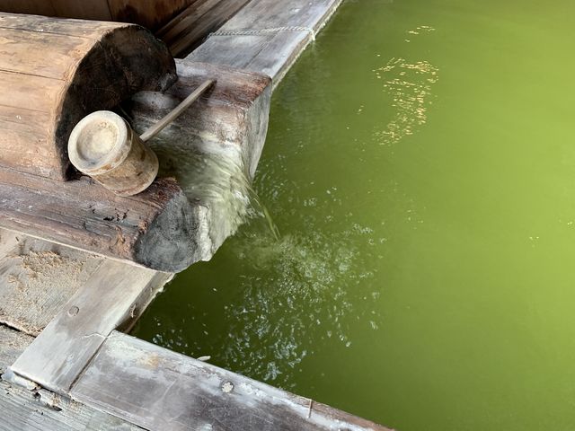 珍しい色合いの温泉ですが、これが飲めるのだから驚きです。_熊の湯温泉(長野県山ノ内町)