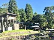 るいるいさんの岩屋公園の投稿写真1