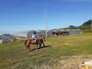 あこさんさんの特定非営利活動法人アヴニールファームの投稿写真1