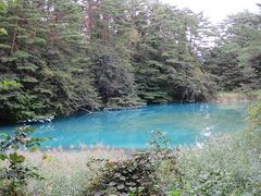 キヨさんの五色沼自然探勝路への投稿写真1