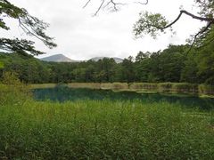 キヨさんの五色沼自然探勝路への投稿写真2