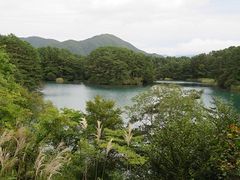 キヨさんの五色沼自然探勝路への投稿写真3