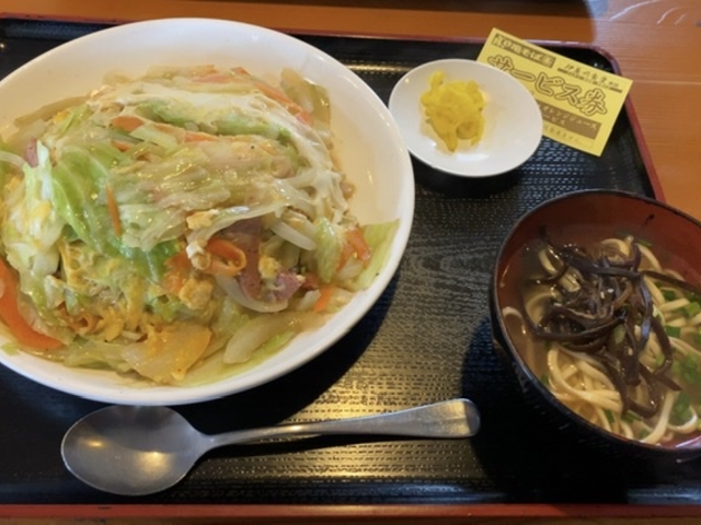 ちゃんぽん_本家 亀そば うん玉店