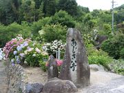 章男君さんの神宮寺(あじさい寺)の投稿写真2