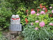 章男君さんの神宮寺(あじさい寺)の投稿写真3