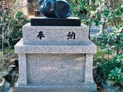 たかちゃんさんの蜊江神社の投稿写真4