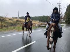 ヒサちゃんさんの阿蘇ハイランド乗馬クラブへの投稿写真1