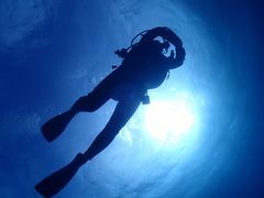 楽々太郎子さんのDIVING SHOP RYAAANへの投稿写真1