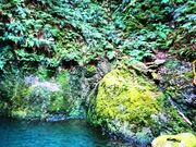 ここあさんの釜ケ滝滝茶屋の投稿写真1