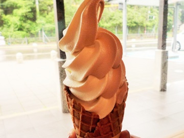 ソフトクリーム_道の駅 たいじ