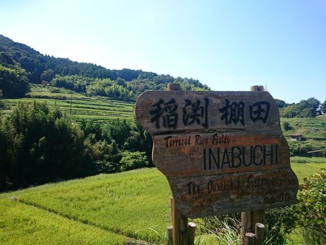 たれれったさんの国営飛鳥歴史公園祝戸地区の投稿写真1