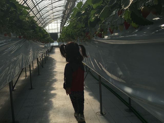 広々しています。_KING FARM