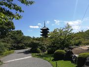 雪乃さんの東寺(教王護国寺)の投稿写真3