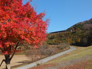 こぼらさんの奥津湖総合案内所みずの郷奥津湖の投稿写真1