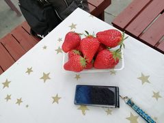 バーニングさんのフルーツガーデンゆうへの投稿写真1