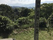 poporonさんの二の丸展望所の投稿写真1