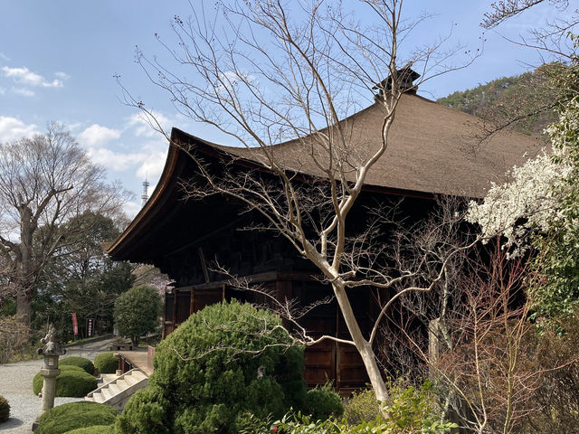 少し周りを散策出来ます。_大善寺