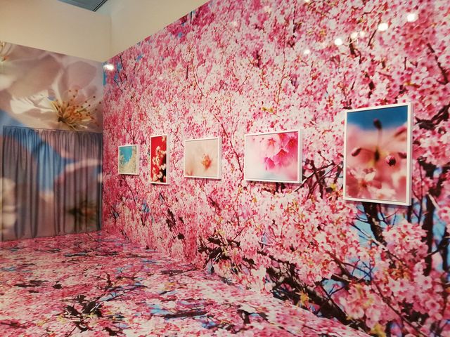 2019年蜷川実花展−虚構と現実の間に−
_宇都宮美術館