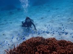 ぱおさんのmarine assist DEMIへの投稿写真2