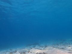 ぱおさんのmarine assist DEMIへの投稿写真3