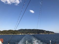 東京湾フェリー金谷港の写真1