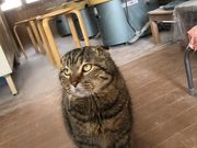 ♪★瞳☆♪さんの陶芸ねるこ窯の投稿写真1