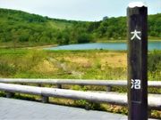 甘辛熊さんの八幡平大沼遊歩道の投稿写真1