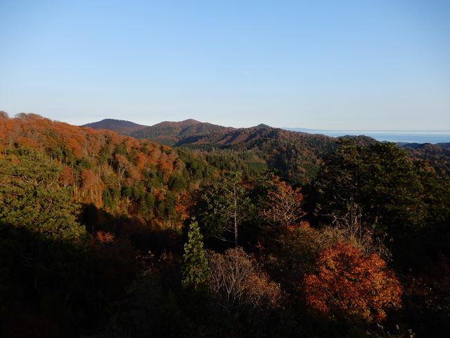 10月末でした。近辺の道路は紅葉が綺麗でした。_道の駅 わきのさわ「リフレッシュセンター鱈の里」