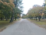 キムタカさんの合浦公園の投稿写真1