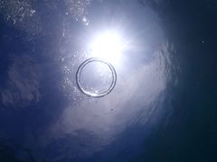 アキさんの柏島ダイビングサービス Smiley Diveへの投稿写真1