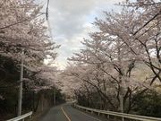 flavorさんの樹芸の森の投稿写真1