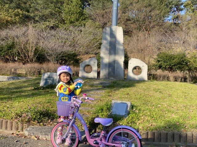 かずさんの向山公園の投稿写真1