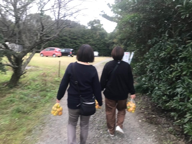 入場料は土産付です。_ねりき園