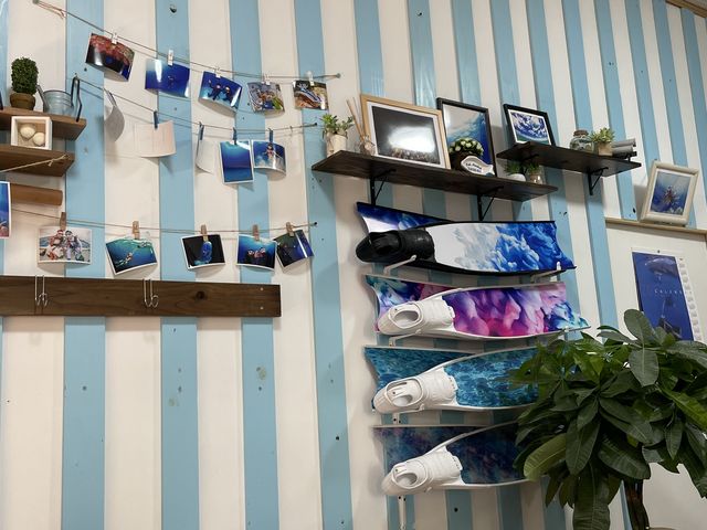 可愛いらしい店内_伊江島Mariner