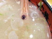 K2さんの廻る富山湾 すし玉 富山駅店の投稿写真9