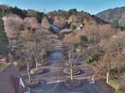 sklfhさんの花みどり公園の投稿写真1