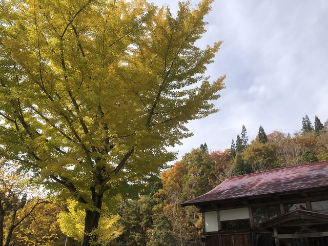 dfrfkさんの龍泉寺の投稿写真1