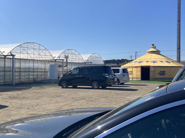 ちょっとした遊ぶ物もありましたよ。_いちご狩りのベリータウン