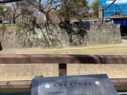 ウッキーさんの熊本城の桜の投稿写真1