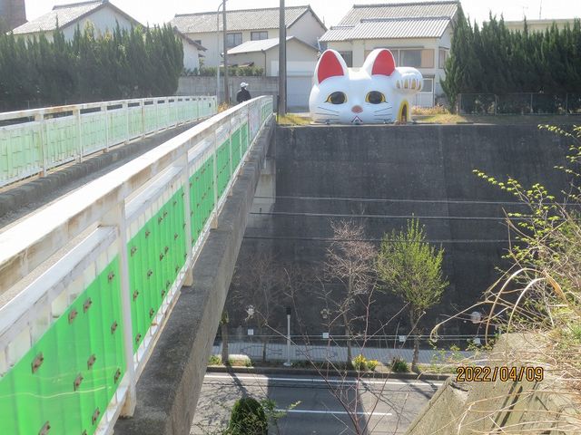 見守り猫 とこにゃん