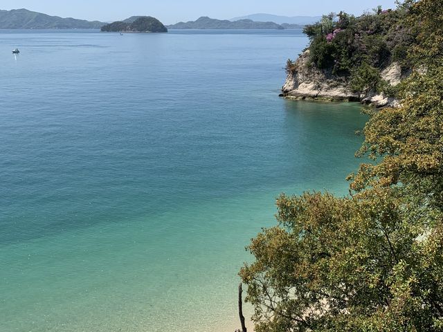 瀬戸内の海とは思えない程、海が綺麗でした。_ラビットライン(三原‐大久野島航路)