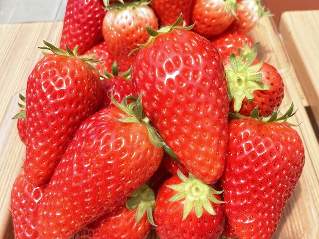 お土産の苺!2パックです。山盛り^_^_農家さいとう