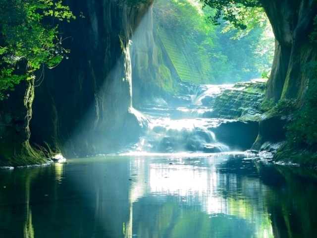いつでも見られるわけではありませんが、見られたらラッキー。_清水渓流広場(濃溝の滝・亀岩の洞窟)